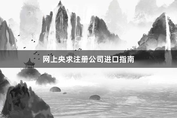 网上央求注册公司进口指南